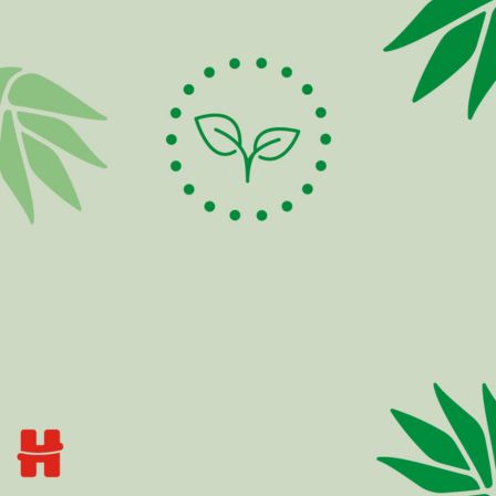 Natural care - ingredients naturels